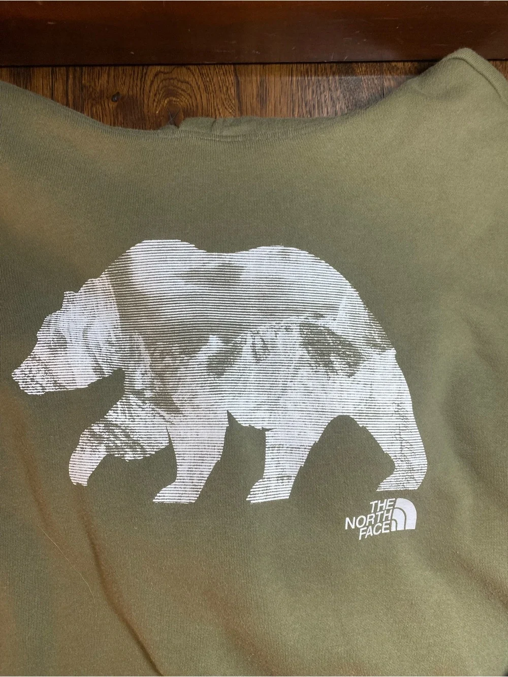 North Face Hoodie Men’s L Green Pullover White Bear Graphic Sleeve Spell out